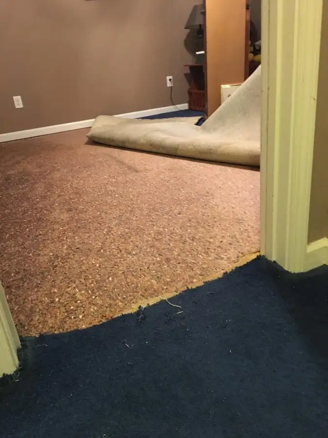 Carpet pad removal revealing water damage during Water Mitigation Services in North Dansville