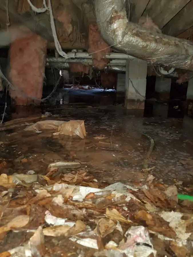 Crawl space flood assessment for Commercial Water Damage Restoration in North Dansville