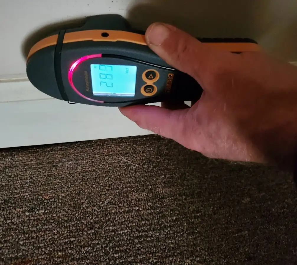 Moisture detection at baseboard during Mold Inspection & Testing in North Dansville